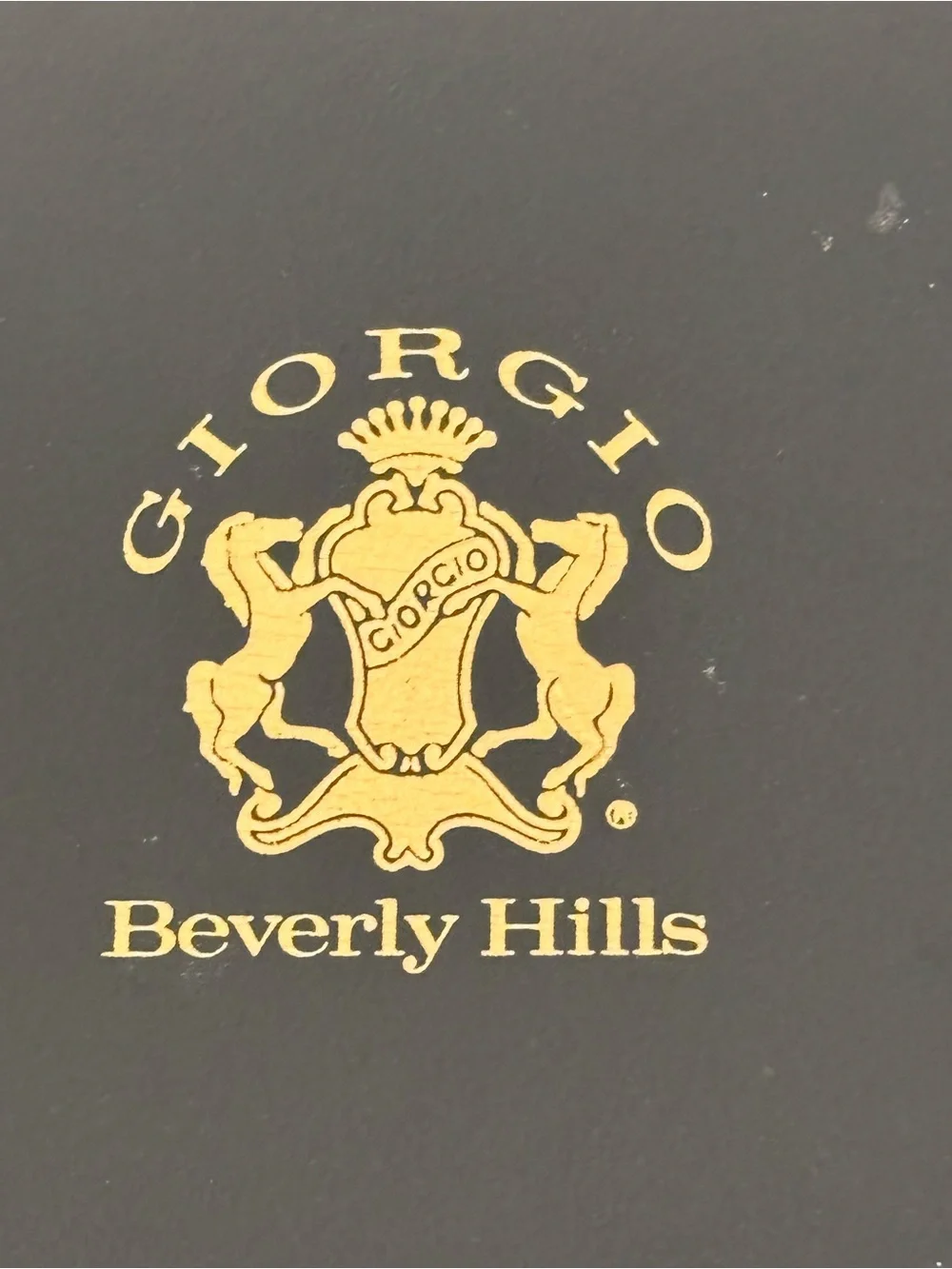 Giorgio Two-Tone Blue & Gold Smartwatch-Style Watch
